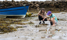Children rockpooling